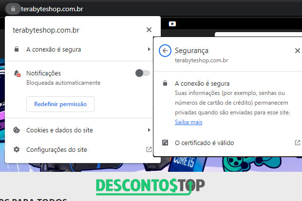 Captura de tela do Terabyteshop, para demonstração do certificado SSL