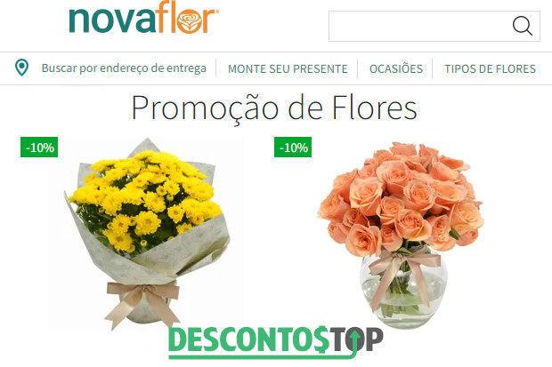 Captura de tela do site Nova Flor, com destaquel para alguns produtos