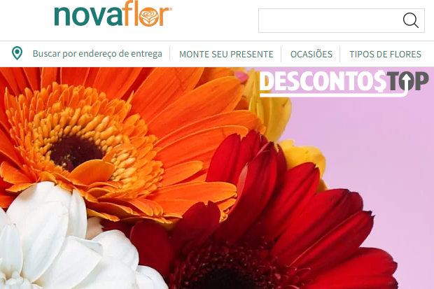 Captura de tela do site Nova Flor, com destaque para a logo e o banner inicial